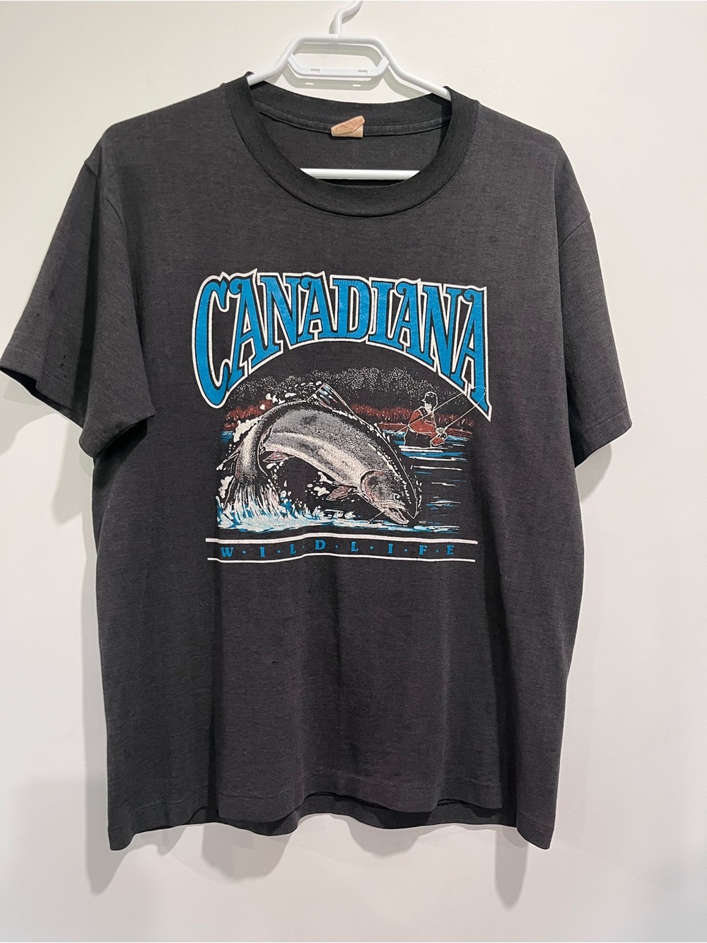 Vintage Canadiana Fish Wildlife Tee Nature Scene Graphic Tee oversized faded